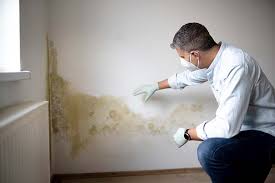 Best HVAC Mold Inspection and Cleaning  in Lindsborg, KS